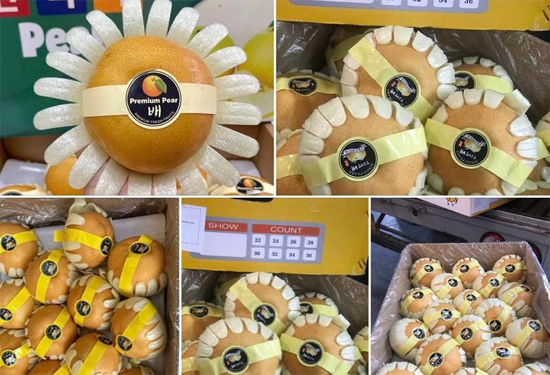 Giua luc cam, quyt tang gia, nhieu loai trai cay sang chanh re bat ngo-Hinh-2