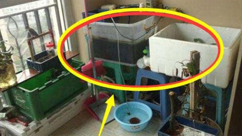 Ban công. Ban công dùng để phơi quần áo, chăn mền, nhưng chị em lại thích chất đống đồ lặt vặt ngoài ban công, thậm chí còn chắn một nửa ánh sáng của ban công, mùi đồ lặt vặt cũng sẽ bám vào quần áo, khiến ban công không lưu thông được khí cũng không tốt, ảnh hưởng rất nhiều đến tướng mạo, không dám mời bạn bè đến nhà ăn cơm, ảnh hưởng đến quan hệ xã giao trong công việc làm ăn của nam giới, tự nhiên không có tài lộc đến cửa.