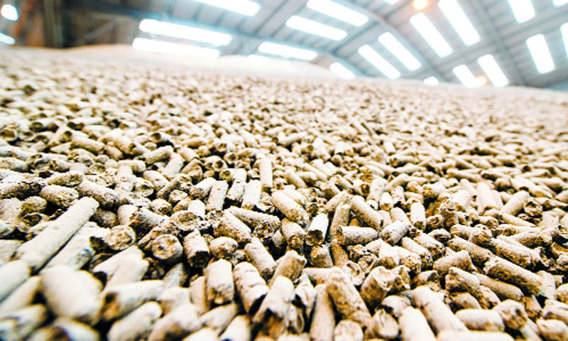 Hai san trong nuoc tang gia, oc dac san nhap khau re bat thuong-Hinh-2