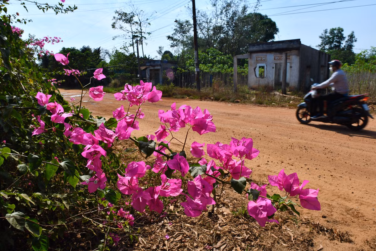Nhung nong dan bong thanh ty phu o vung du an san bay Long Thanh-Hinh-9