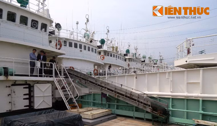 Đại diện công ty cổ phần Đức Khai trong chuyến công tác sang các nước Nhật, Hàn Quốc, Úc để khảo sát, hợp đồng mua tàu và đều nhận được sự ủng hộ, giúp đỡ của các nước trước ý chí vừa hoạt động kinh tế vừa mang ý nghĩa bảo vệ chủ quyền biển đảo của Việt Nam.