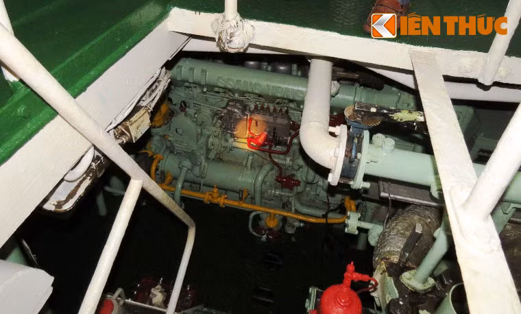 Trong thời gian đầu, một số ngư dân các nước Nhật Bản, Hàn Quốc, Úc có nhiều kinh nghiệm trong việc đánh bắt khai thác thủy, hải sản sẽ làm chuyên gia hướng dẫn, hỗ trợ kỹ năng, kỹ thuật và kinh nghiệm trong việc đánh bắt, khai thác thủy, hải sản.