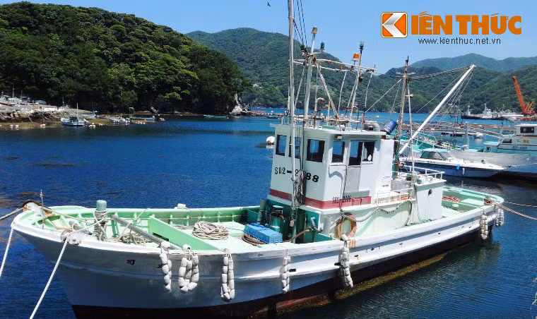 Việc CTCP Đức Khải đầu tư hơn 1500 tỷ đồng trang bị tàu "khủng", máy bay trực thăng, ụ nổi...với hàng ngàn lao động ra vùng biển Hoàng Sa cùng ngư dân đánh bắt cá đã khiến dư luận phấn khởi, ủng hộ...Ngoài việc tạo việc làm cho ngư dân có thu nhập ổn định, còn góp phần thúc đẩy phát triển kinh tế biển, kinh tế đất nước và bảo vệ chủ quyền biển đảo của Tổ quốc.