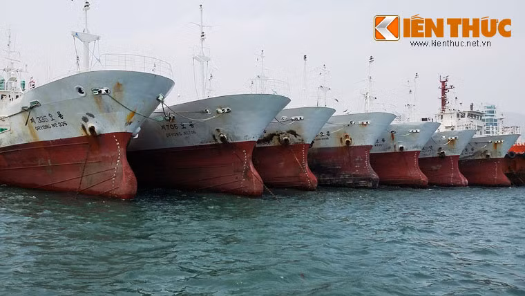 Theo thông tin từ ông Phạm Ngọc Lâm, chủ tịch HĐQT công ty CP Đức Khải (chuyên lĩnh vực kinh doanh, dịch vụ XNK, bất động sản): "45 chiếc tàu đầu tiên (trong số 100 chiếc) được mua từ các nước phát triển, kỹ thuật cao ngành đóng tàu có công suất từ 500 đến 1500 mã lực sẽ về đến Việt Nam vào 30/8 tới". Số tàu còn lại cũng lần lượt được mua và đồng loạt đăng kiểm, để đầu nằm 2015 tiến ra ngư trường Hoàng Sa đánh bắt thủy, hải sản.