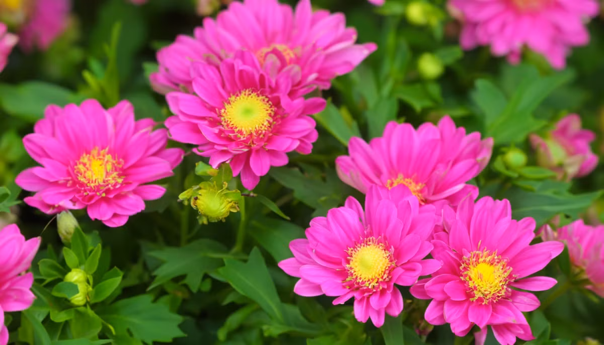 Nguoi sinh ngay Am nay, kiem tien sieu dinh, thang Chap giau len trong thay