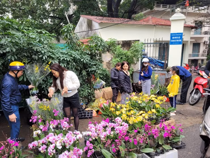 Hoa lan xuong pho ngay can Tet, gia ban gap doi van dat hang-Hinh-12