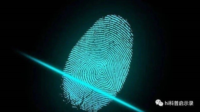 Bi mat ve dau van tay cua con nguoi, loi nguyen hay diem bao?