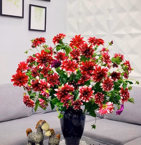 Dung loai hoa cung nay dam bao gap nhieu may man dip le Tet-Hinh-5