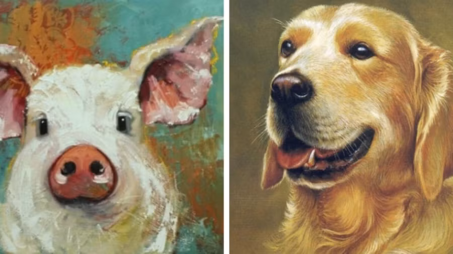 3 tuoi do nhat 2024: Van do nhu son, phat tai phat loc