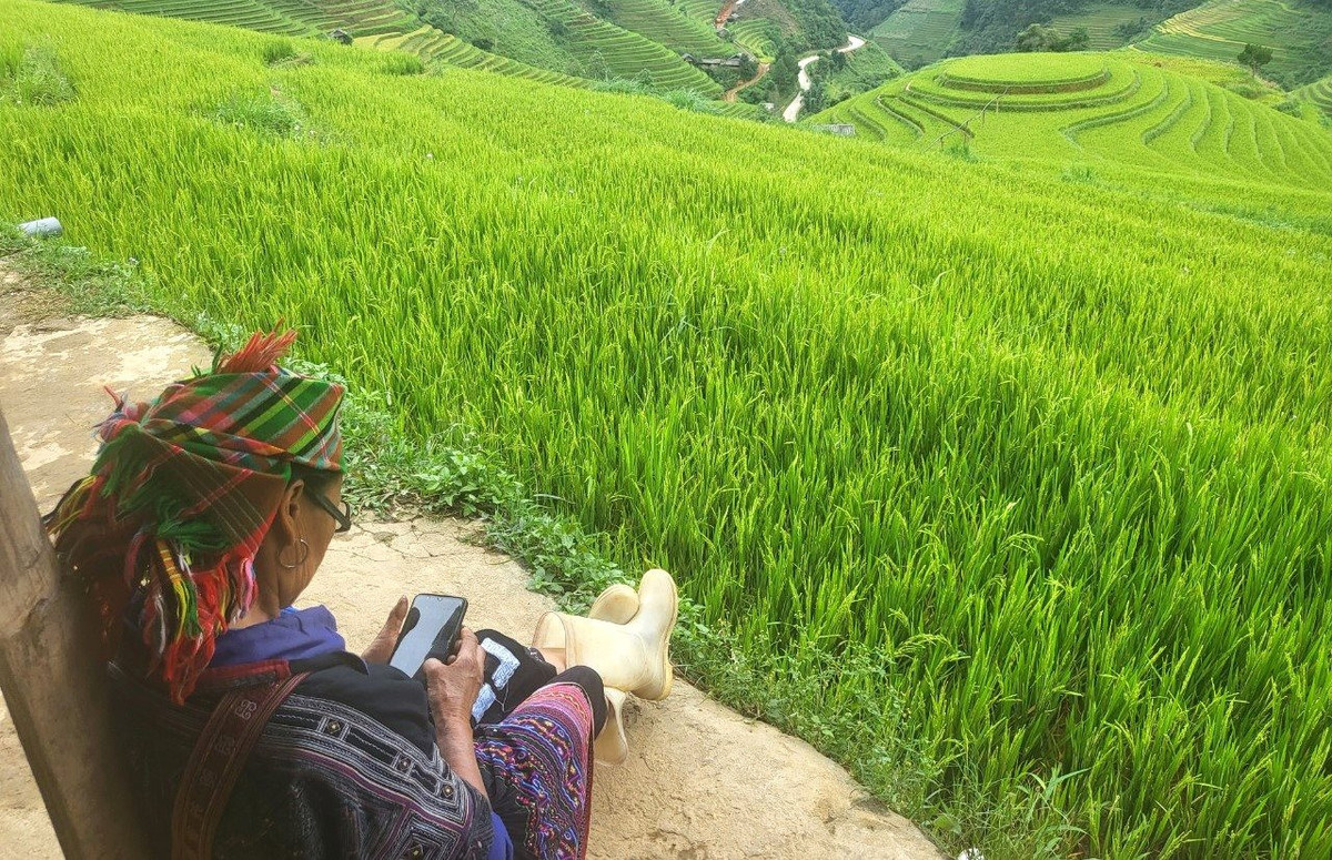 “Nhung chiec thang tuyet voi leo len bau troi Tay Bac“-Hinh-7