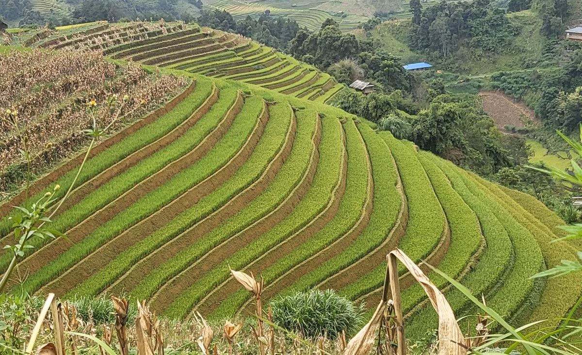 “Nhung chiec thang tuyet voi leo len bau troi Tay Bac“-Hinh-9