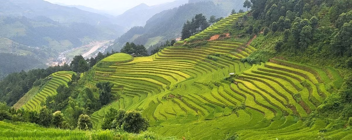 “Nhung chiec thang tuyet voi leo len bau troi Tay Bac“