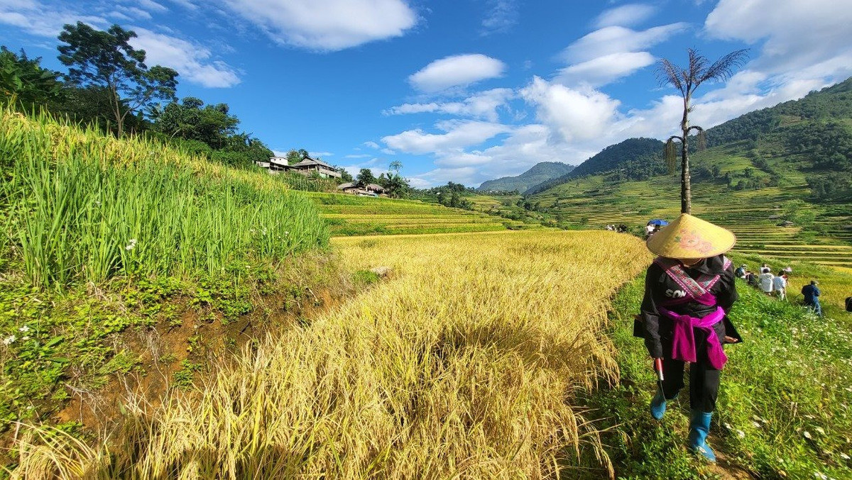 “Nhung chiec thang tuyet voi leo len bau troi Tay Bac“-Hinh-5