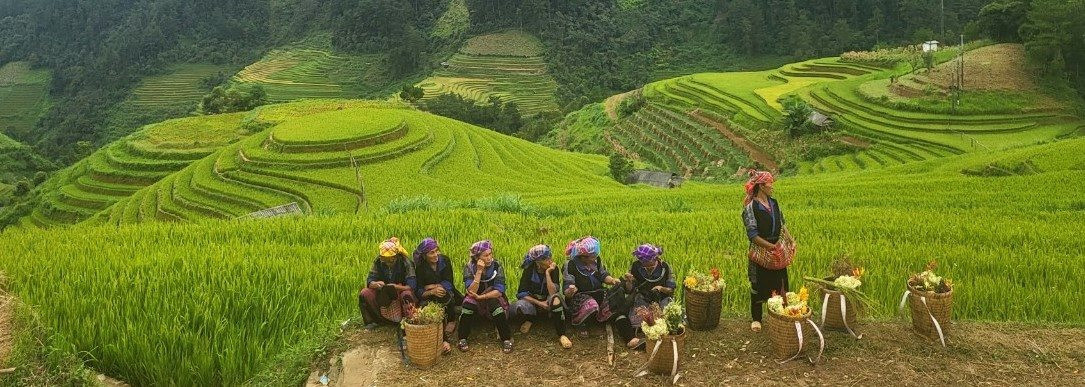 “Nhung chiec thang tuyet voi leo len bau troi Tay Bac“-Hinh-4