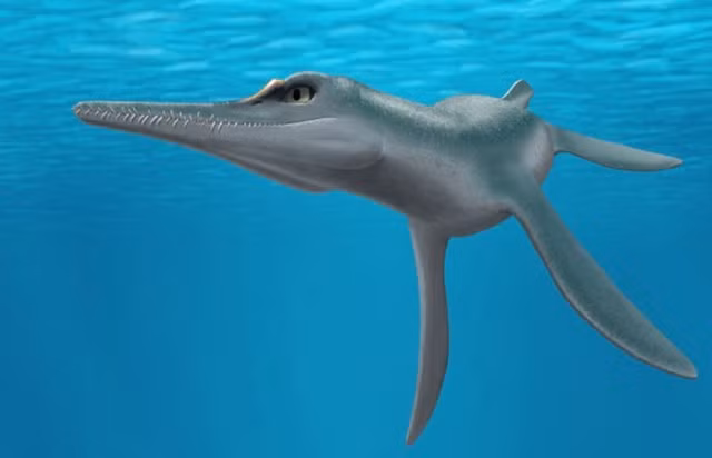 Phat hien quai vat 80 trieu tuoi, chuyen gia sung sot-Hinh-2