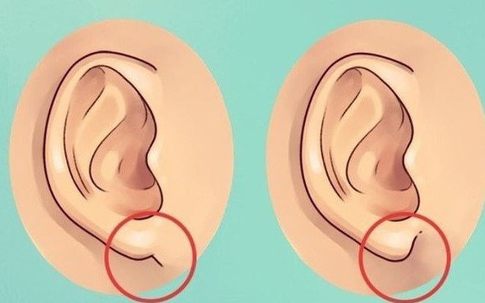  Đống thời, ngũ quan cũng phản ánh cuộc sống tình duyên và khả năng sinh sản của người đó. Bởi vậy, những người phụ nữ không có ngũ quan đầy đặn cuộc sống thường gặp nhiều khó khăn. 