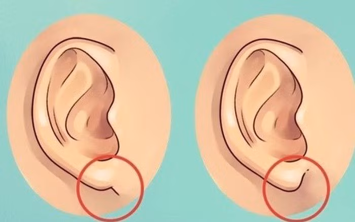  Đống thời, ngũ quan cũng phản ánh cuộc sống tình duyên và khả năng sinh sản của người đó. Bởi vậy, những người phụ nữ không có ngũ quan đầy đặn cuộc sống thường gặp nhiều khó khăn. 