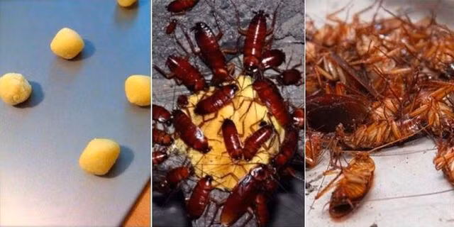 Chi 1 lon bia uong do da duoi duoc ca dan gian-Hinh-2