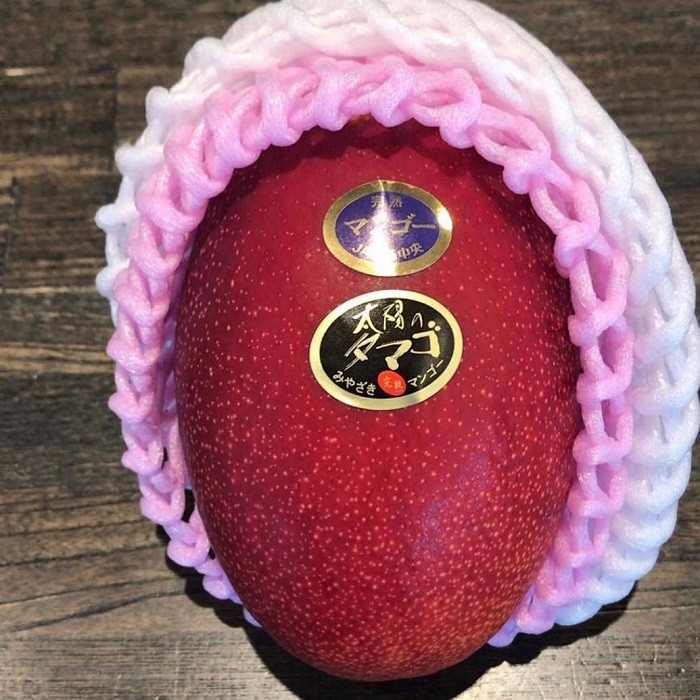 Hơn 2 triệu đồng/quả xoài màu đỏ, nhà giàu Việt chi tiền ăn sang Hon 2 trieu dong/qua xoai mau do, nha giau Viet chi tien an sang