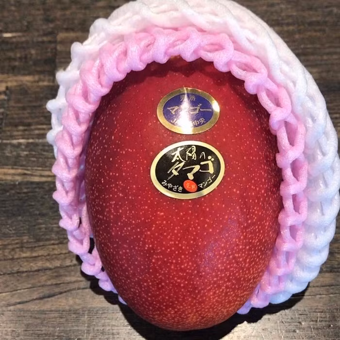 Hon 2 trieu dong/qua xoai mau do, nha giau Viet chi tien an sang