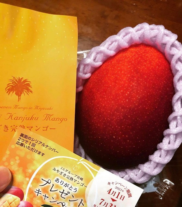 Hơn 2 triệu đồng/quả xoài màu đỏ, nhà giàu Việt chi tiền ăn sang - Hình 2 Hon 2 trieu dong/qua xoai mau do, nha giau Viet chi tien an sang-Hinh-2