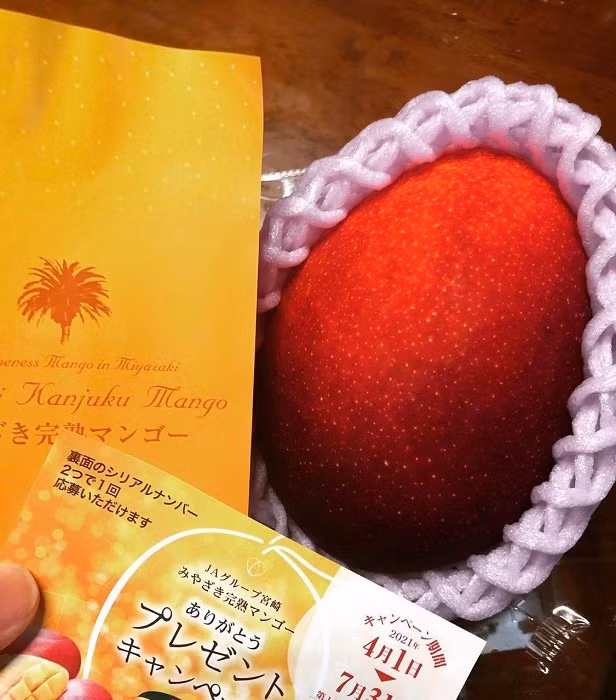 Hon 2 trieu dong/qua xoai mau do, nha giau Viet chi tien an sang-Hinh-2