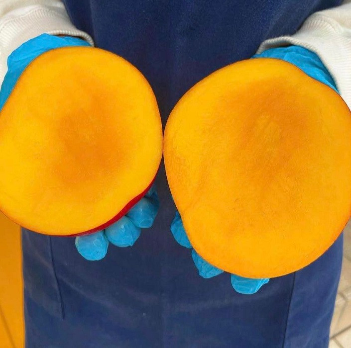 Hơn 2 triệu đồng/quả xoài màu đỏ, nhà giàu Việt chi tiền ăn sang - Hình 6 Hon 2 trieu dong/qua xoai mau do, nha giau Viet chi tien an sang-Hinh-6