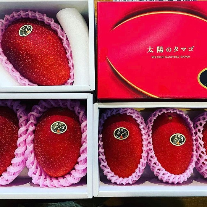 Hơn 2 triệu đồng/quả xoài màu đỏ, nhà giàu Việt chi tiền ăn sang - Hình 8 Hon 2 trieu dong/qua xoai mau do, nha giau Viet chi tien an sang-Hinh-8