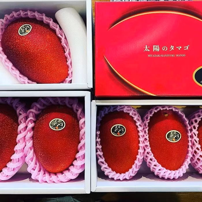 Hon 2 trieu dong/qua xoai mau do, nha giau Viet chi tien an sang-Hinh-8