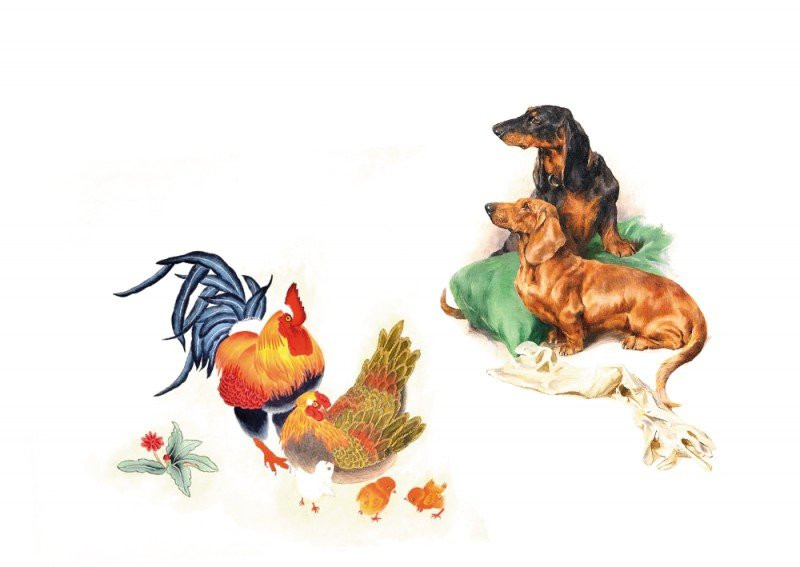 Xét về tính cách, những người tuổi Dậu rất thích hư vinh, ưa thể hiện, thích khoe mẽ, nịnh trên nạt dưới, hay ăn cháo đá bát, làm việc khuất tất. Điều đó lại hoàn toàn trái ngược với Tuất nghiêm minh, chính trực, trắng đen rõ ràng.