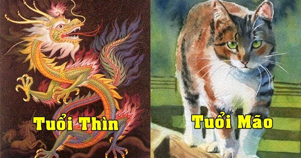 Người bạn đời vừa gây dựng được thứ gì, nửa kia sẽ phá tan, đạp đổ, nói xấu hoặc phá thối bằng mọi cách, thậm chí là tiêu xài sạch tài sản để cho bõ tức. Thế nên của chồng nhưng là tội vợ, cặp đôi Mão – Thìn này sẽ chẳng bao giờ để được chút đồng tiền còm cõi nào trong nhà.