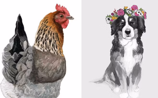 Tuổi Dậu và tuổi Tuất. Chỉ cần nghe qua đã thấy, cặp đôi Dậu Tuất là hai con giáp đại kỵ. 