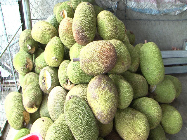 Mot thang 5 lan giam gia, mit Thai chat dong re chua tung co