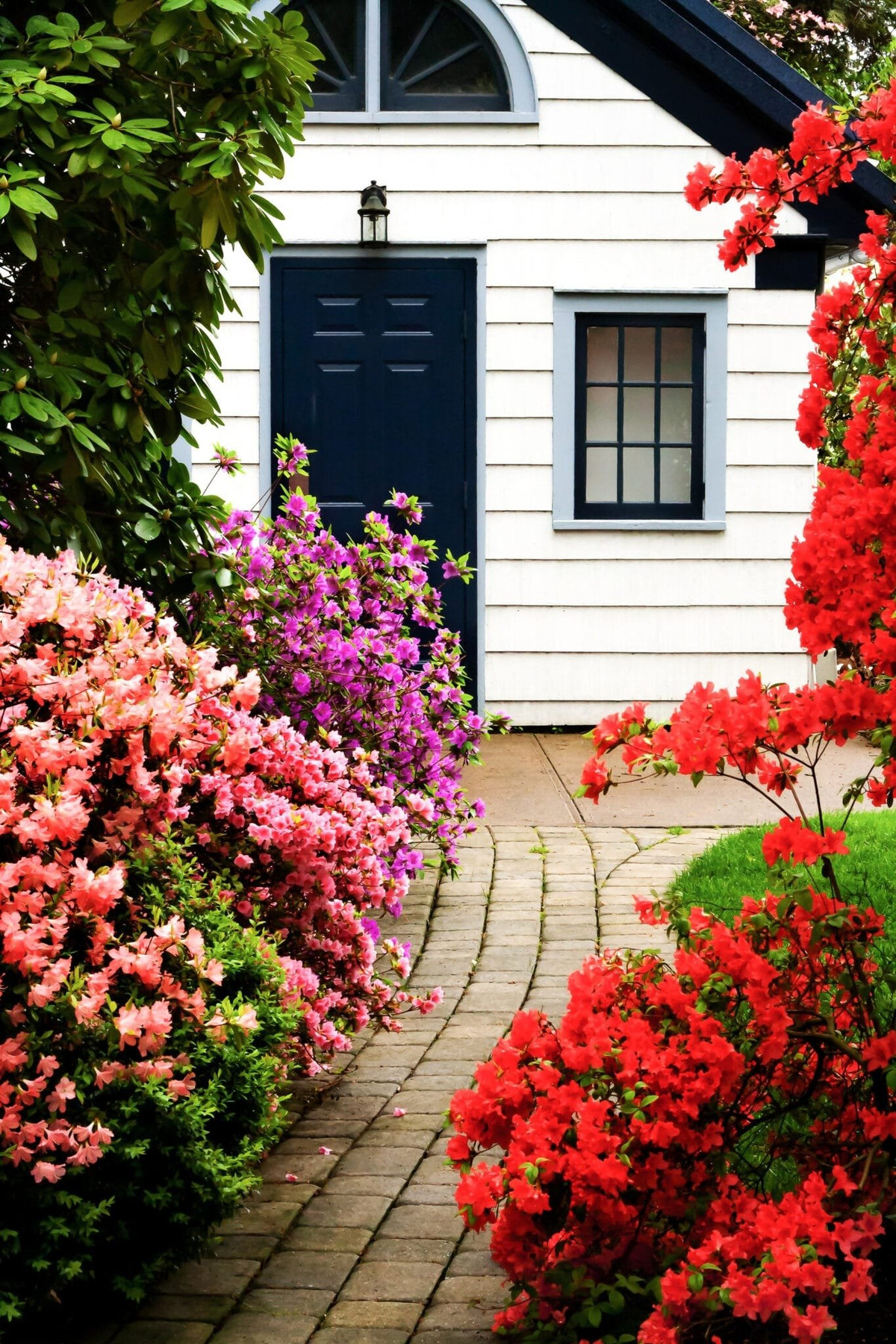 Ngắm cây cảnh tiên hoa diễn giải hết ý nghĩa cuộc sống - Hình 6 Ngam cay canh tien hoa dien giai het y nghia cuoc song-Hinh-6