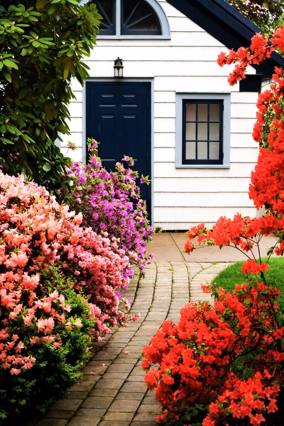 Ngam cay canh tien hoa dien giai het y nghia cuoc song-Hinh-6