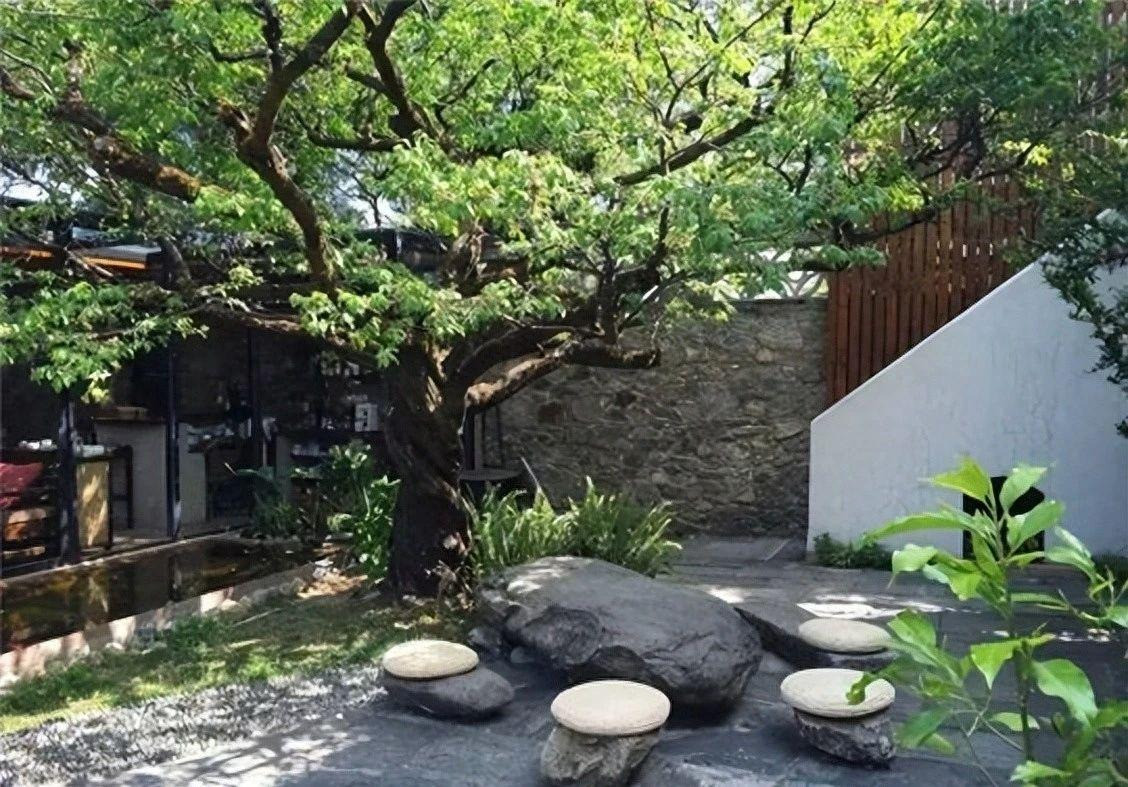  Tuy nhiên, do dáng vóc cao nên nếu trồng cây dương trong sân sẽ chặn ánh sáng dương vào nhà, tiếng động từ lá cũng ảnh hưởng đến giấc ngủ vào ban đêm. Đây đều là những điều không tốt trong phong thủy.