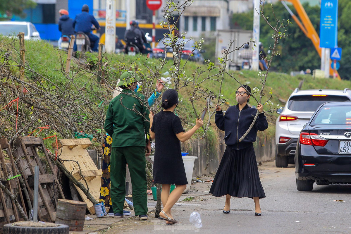 Người dân Thủ đô thích thú khi sở hữu những cành hoa lê trắng này.