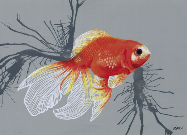 Như vậy, việc trưng cá vàng ngày Tết có ý nghĩa sâu xa là việc làm thể hiện ước vọng có cuộc sống sung túc, viên mãn của các gia đình.