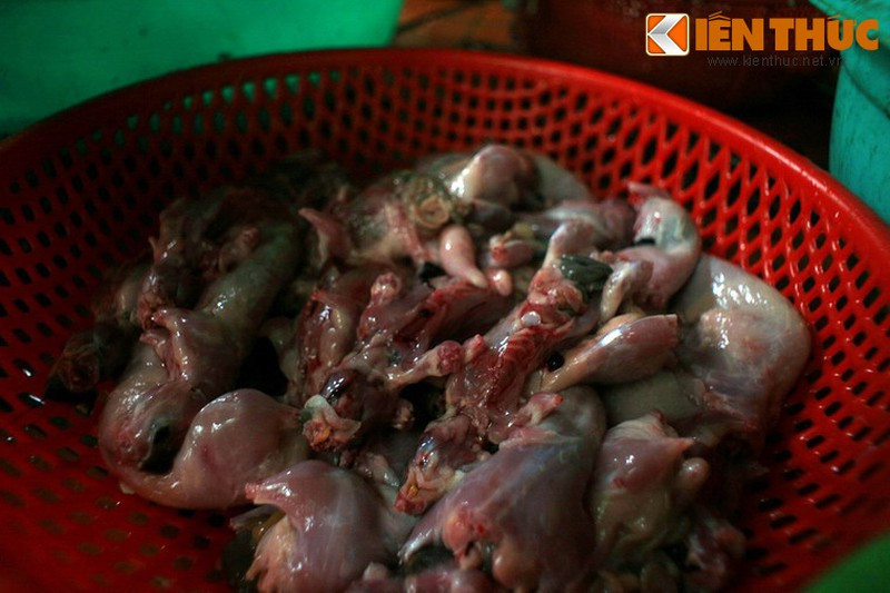 Thịt chuột là một món ăn phổ biến ở nhiều vùng đồng quê Việt Nam, trải dài từ Bắc vào Nam. Mời quý độc giả xem video: Đi tìm Tết Việt. Nguồn: VTC14.