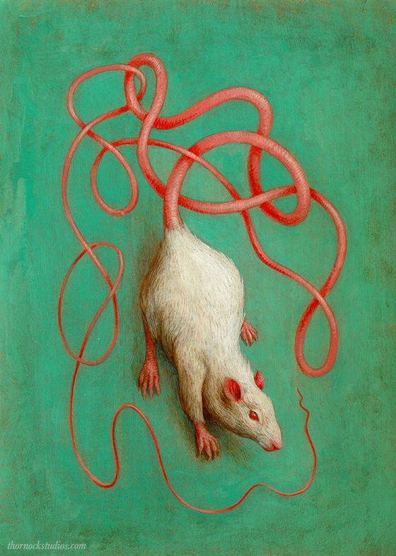 Ban đầu, thí nghiệm trên chuột chỉ là những thí nghiệm y sinh đơn giản. Cùng với sự phát triển của khoa học, các thí nghiệm ngày càng trở nên phức tạp, mở rộng sang nhiều lĩnh vực chuyên ngành.