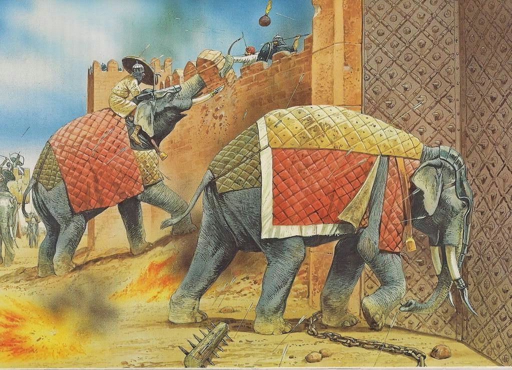 Cuộc chiến diễn ra do người Mauryan coi Kalinga – một thể chế thịnh vượng và tự do – là cái gai trong việc mở rộng ảnh hưởng ở tiểu lục địa Ấn Độ. Họ quyết định dốc toàn lực để xóa sổ Kalinga khỏi bản đồ.