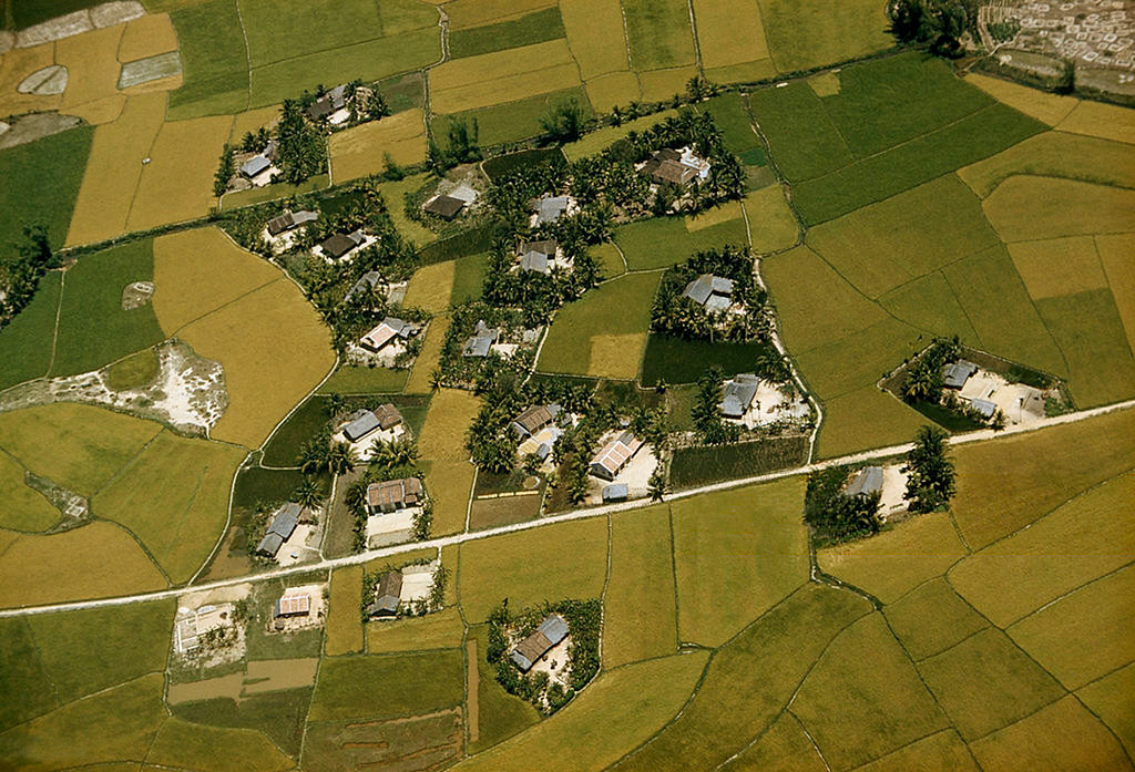 Nhà cửa và ruộng vườn ở vùng ngoại ô Đà Nẵng năm 1961.