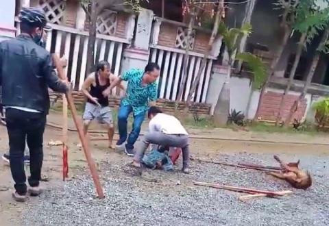 Nguoi di duong bi cho Pitbull lao ra can nat tay