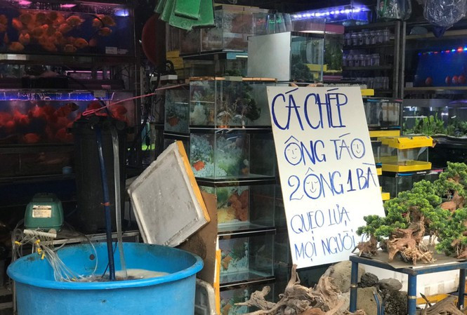 Tiệm kinh doanh cá treo biển mời mua cá chép khá ngộ nghĩnh.