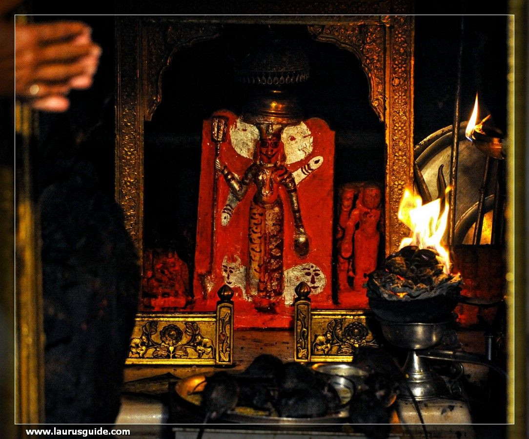 Ngôi đền này có từ 600 năm trước, là nơi thờ Karni Mata, nữ thần Chuột trong đạo Hindu – tôn giáo chính của người Ấn Độ. Đây được coi là đền thờ chuột duy nhất trên thế giới.