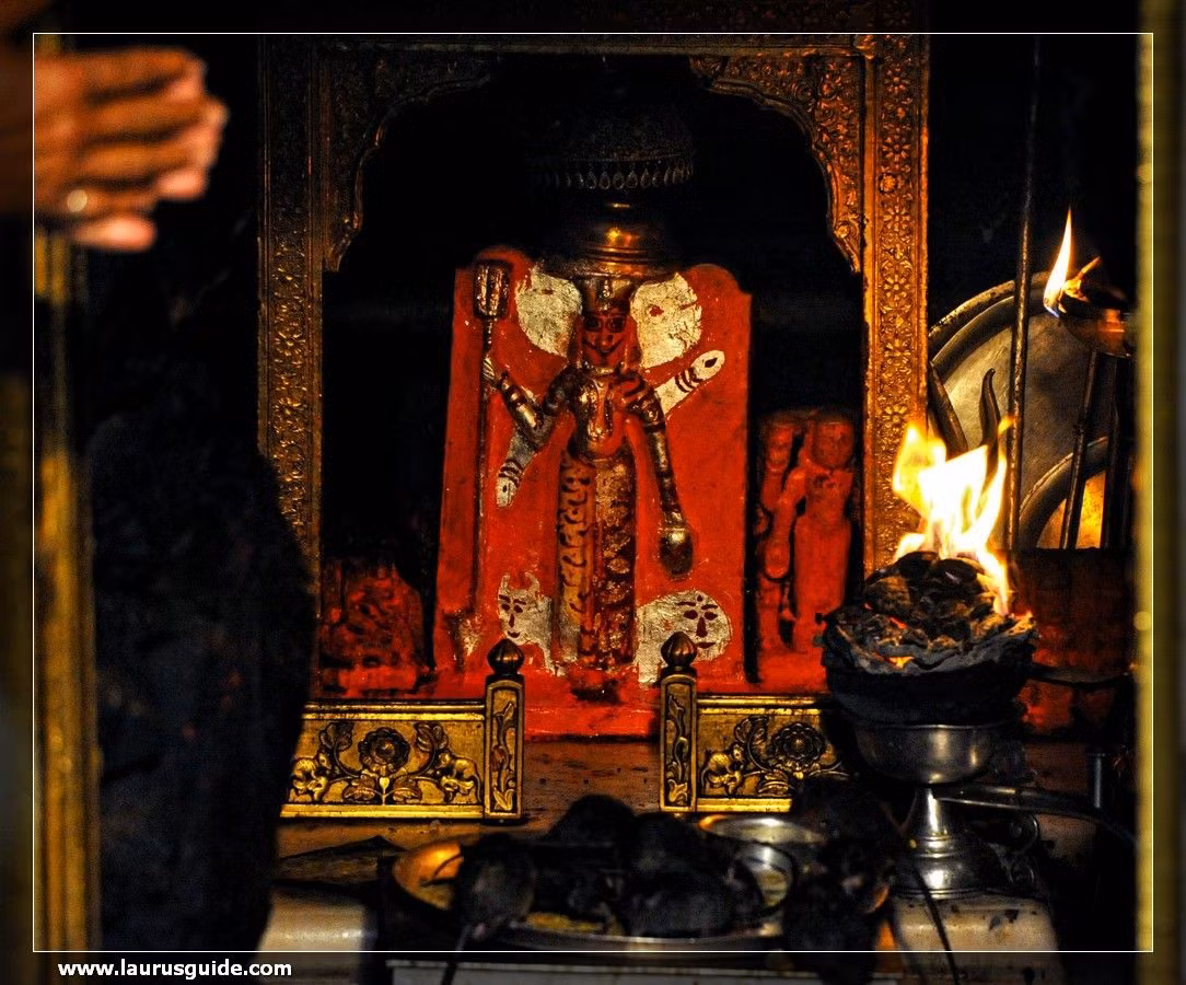 Canh tuong rung ron o ngoi den nuoi hang van con chuot-Hinh-2