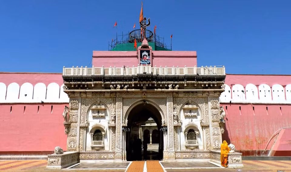 Canh tuong rung ron o ngoi den nuoi hang van con chuot