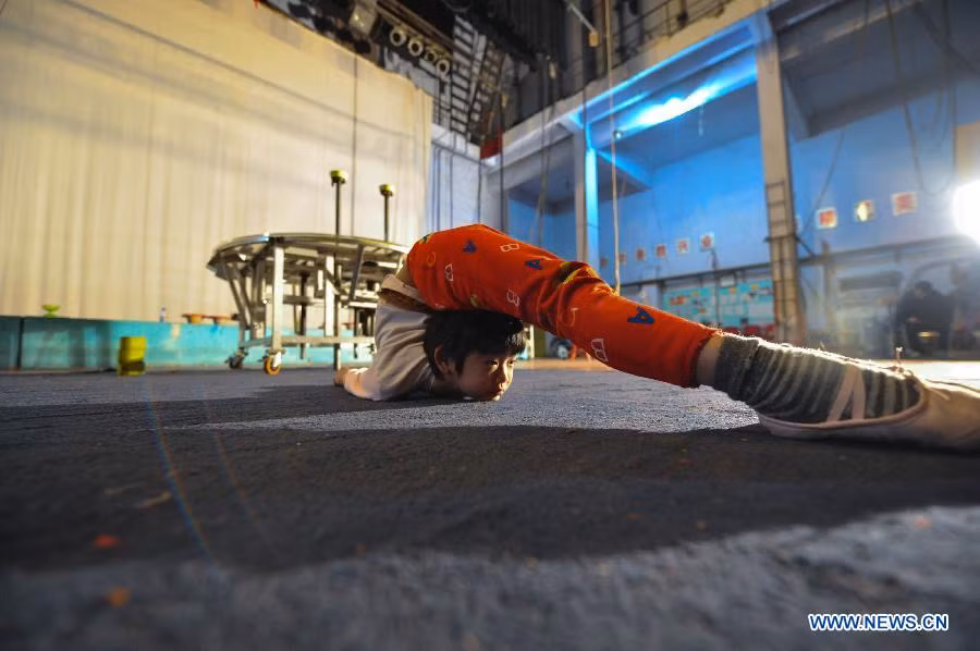 Với bề dày kinh nghiệm tích lũy được từ nửa thế kỷ trước, đoàn Sanxia dần tạo dựng được một vị thế vững chắc trong làng xiếc trong và ngoài nước.