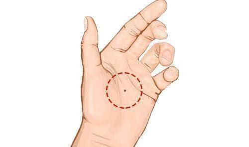 Nhung nguoi co not ruoi o day la 'phu ong phu quy', giau bat chap-Hinh-5