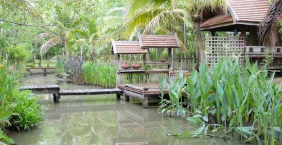 “Truoc cua co tam hong, con chau doi doi ban han”: Ba hong la gi?